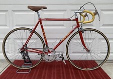 1980s rosa professional for sale  Rancho Cucamonga
