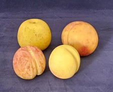 Fruits trompe œil d'occasion  Bouguenais