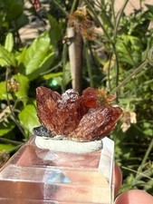 Rhodochrosit südafrika chwani gebraucht kaufen  Neukirchen-Vluyn