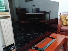 Vendi pollici tenuto usato  Ortona