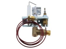 Valor black beauty for sale Valor black beauty for sale  DONCASTER