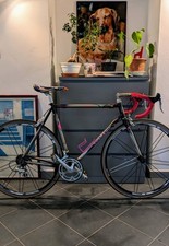 Colnago bititan decor usato  Torino