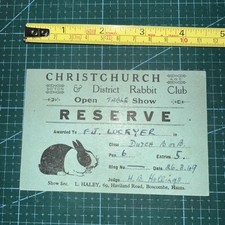 Christchurch district rabbit for sale  POOLE