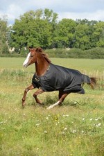 Bucas 115 black gebraucht kaufen  Siegen