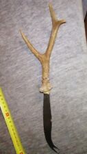 Roe deer antler d'occasion  Vienne