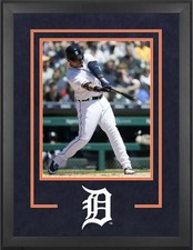 Tigers deluxe 16x20 for sale  Fort Lauderdale