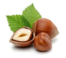 Hazelnut tree kentish for sale  BANBURY