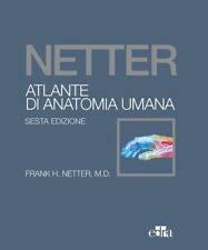 Alante anatomia umana usato  Carrara