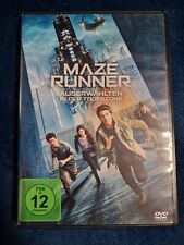 Dvd maze runner gebraucht kaufen  Arolsen
