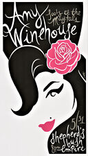 Amy winehouse concert for sale  New Oxford
