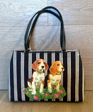 Isabella fiore beagle for sale  Denver