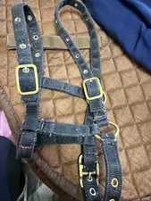 Foal shetland headcollar for sale  MAIDSTONE