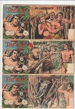 Tarzan walter lehning gebraucht kaufen  Oberkotzau