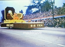 parade rose for sale parade rose for sale Victorville