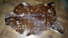 Tierfell hirschfell rehfell gebraucht kaufen  Berlin