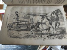 Almanach cultivateur gravures d'occasion  France
