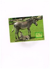 zoo leipzig gebraucht kaufen zoo leipzig gebraucht kaufen  Glauchau