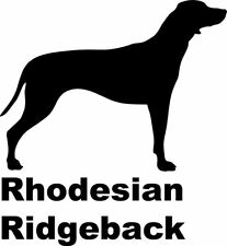 Rhodesian ridgeback for sale  UK