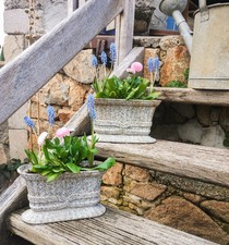 Pair small french d'occasion Pair small french d'occasion  Peyrat-le-Château