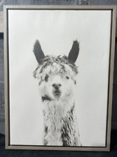 Sylvie llama black for sale  Newark