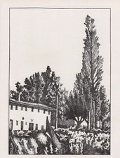 Giorgio morandi fattoria usato  Castellammare di Stabia