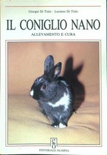 Coniglio nano tizio usato  Italia