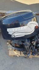 Motore barca evinrude usato  Civitanova Marche