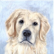Serviettes papier chien d'occasion  France
