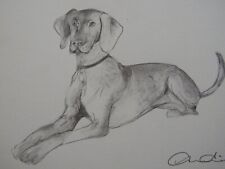 Desenho a lápis tonal claro original desenhado à mão de um cachorro deitado comprar usado  Enviando para Brazil