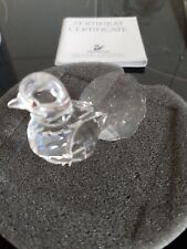 diamond dove for sale diamond dove for sale RUGBY