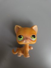 Lps00828 littlest petshop d'occasion Lps00828 littlest petshop d'occasion  Saint-Maximin-la-Sainte-Baume