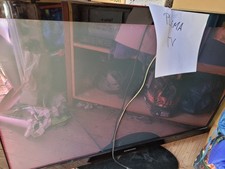 samsung plasma 50zoll gebraucht kaufen samsung plasma 50zoll gebraucht kaufen Ramstein-Miesenbach