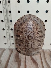 Red ear slider for sale  Greenville