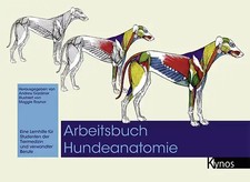 Arbeitsbuch hundeanatomie gebraucht kaufen  Berlin