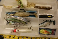 Lote Diverso de Iscas de Pesca de Peixes Grandes com Estojo Iscas Vermes Faca Irlanda Imperial comprar usado  Enviando para Brazil