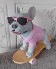 Large skateboarding french for sale  UK