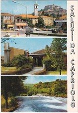 Capriolo brescia saluti usato Capriolo brescia saluti usato  Italia