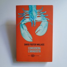 David foster wallace usato  Cascina