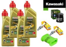 Tagliando kawasaki kle usato  Italia