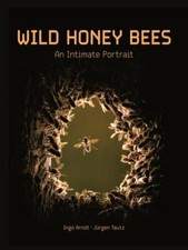 Wild honey bees for sale  Aurora
