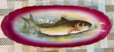 Grand plat poisson d'occasion  Bernay
