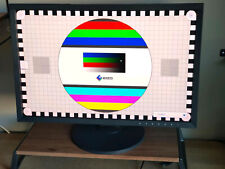 Monitor professionale eizo usato  Milano