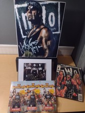 Wcw nwo wrestling for sale  Rincon