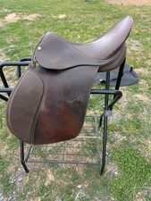 Hdr precursor dressage for sale  Harrisonburg