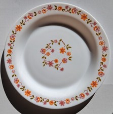 Assiette plate vintage d'occasion  Montélimar