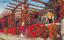Cote azur pergola d'occasion  France