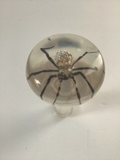 Cabo de acrílico vintage aranha inseto para bengala, guarda-chuva, bengala, etc comprar usado  Enviando para Brazil