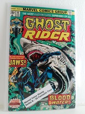 Ghost rider vintage usato  Italia