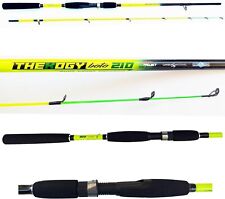 Canna pesca seppia usato  Terni
