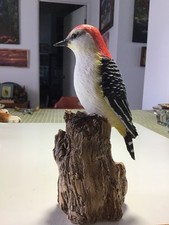 Red headed woodpecker for sale  Gold Beach